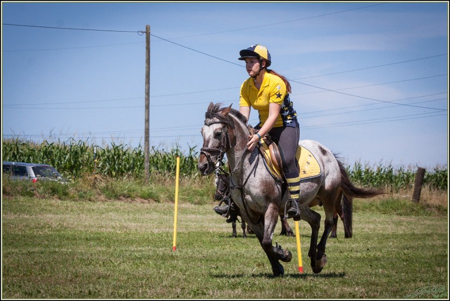 Mounted Games 154